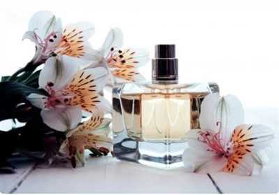 حرفه ای ها چطور عطر و ادکلن انتخاب می کنند؟