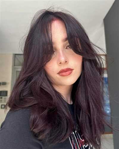 خوشرنگ ترین ترکیب رنگ مو بدون دکلره روی موی مشکی(فانتزی و قهوه ای)
