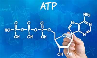 ATP چیست؟ بررسی نقش آن در انرژی و عملکرد عضلات