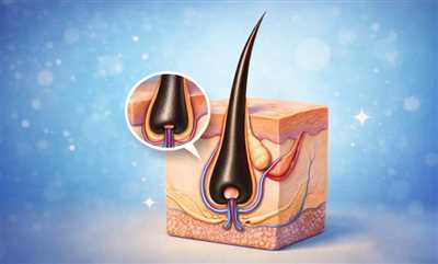 فولیکول مو چیست؟ چرا باید از آن مراقبت کنیم؟