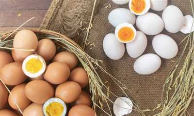 پروتئین تخم مرغ چقدر است؟
