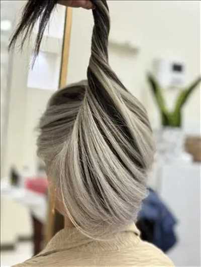نمونه کار سالن زیبایی شهناز حیدری