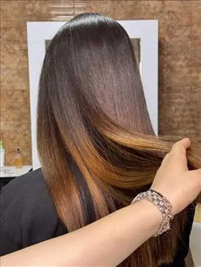نمونه کار سالن زیبایی شهناز حیدری