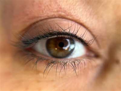 بن مژه توسط آرایشگر الهام گلدوز