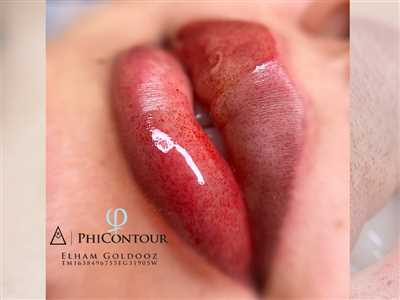 شیدینگ لب ، آرایشگر الهام گلدوز 