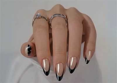 20 مدل لاک و کاشت ناخن مشکی ساده ترند سال